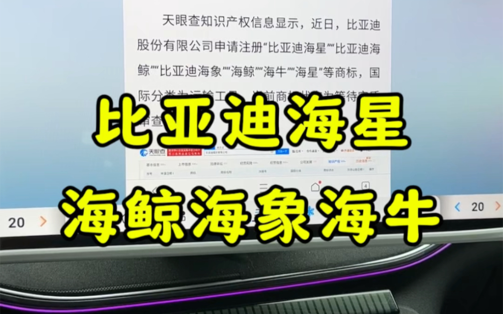 比亚迪申请海星海鲸海象海牛商标!比亚迪海洋网未来将更强大!哔哩哔哩bilibili