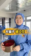 Download Video: 藏红花原来是个大骗子！