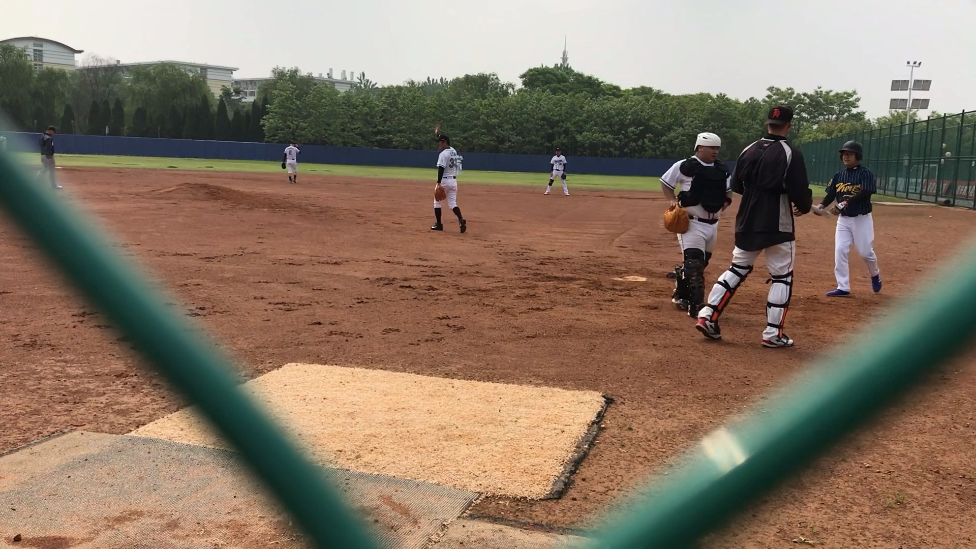 上海市飓龙杯业余棒垒球联盟 viper棒球队vs游骑兵棒球队 2019年5月1