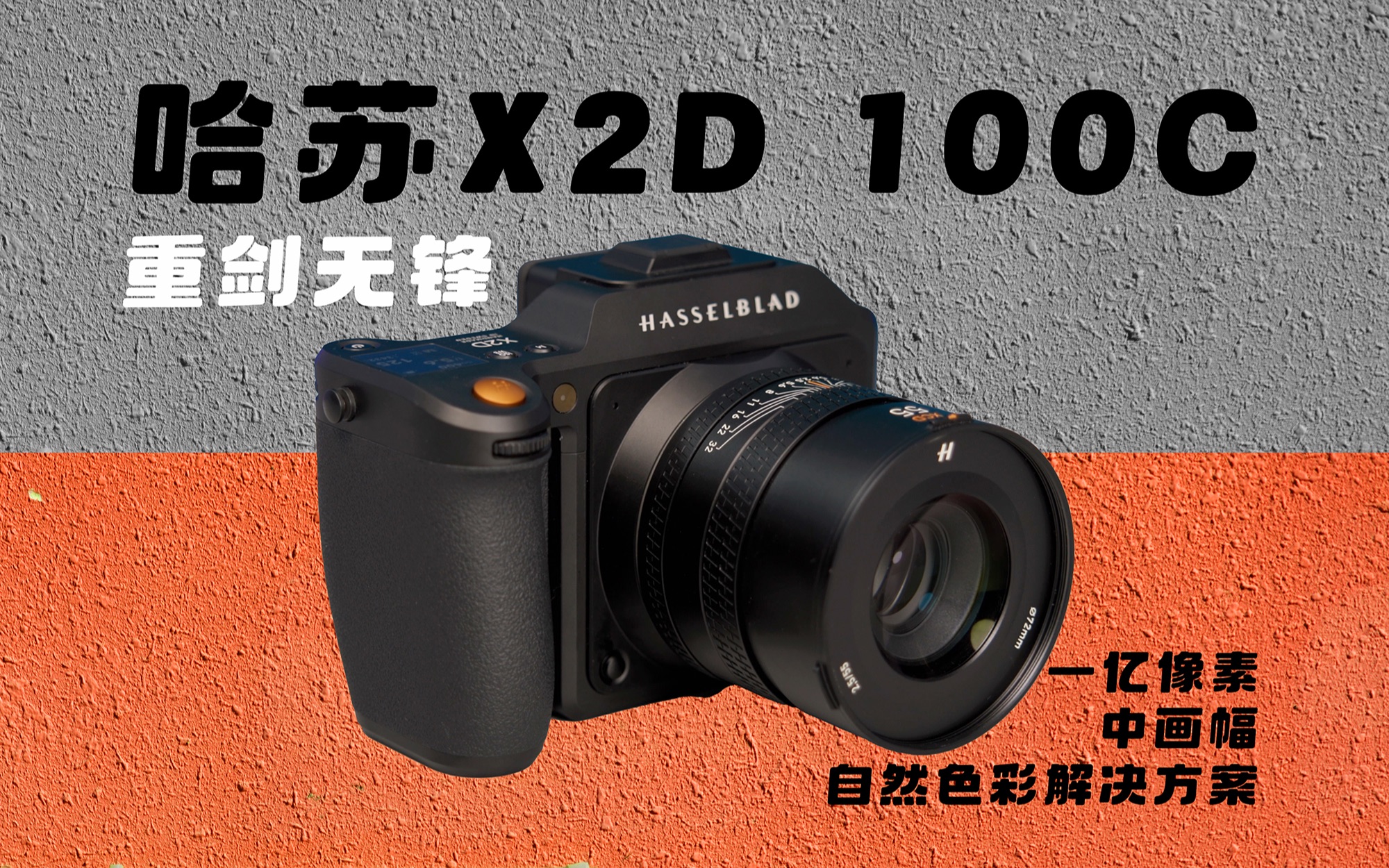 79800-x2d