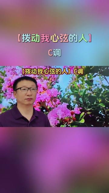 《拨动我心弦的人》一首动听的歌曲哔哩哔哩bilibili