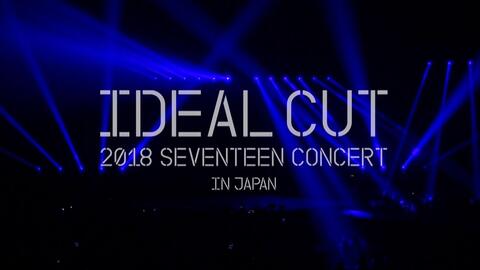 seventeen 1080P】2017 Japan Concert Say the name #seventeen 演唱会