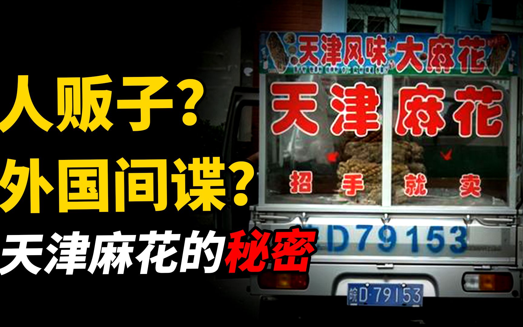 全国到处跑的天津大麻花,到底隐藏了什么秘密?奇葩网友跟踪几个月哔哩哔哩bilibili