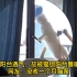 男子到阳台透气，却被猫锁阳台暴晒2小时，网友：没收一个月猫条