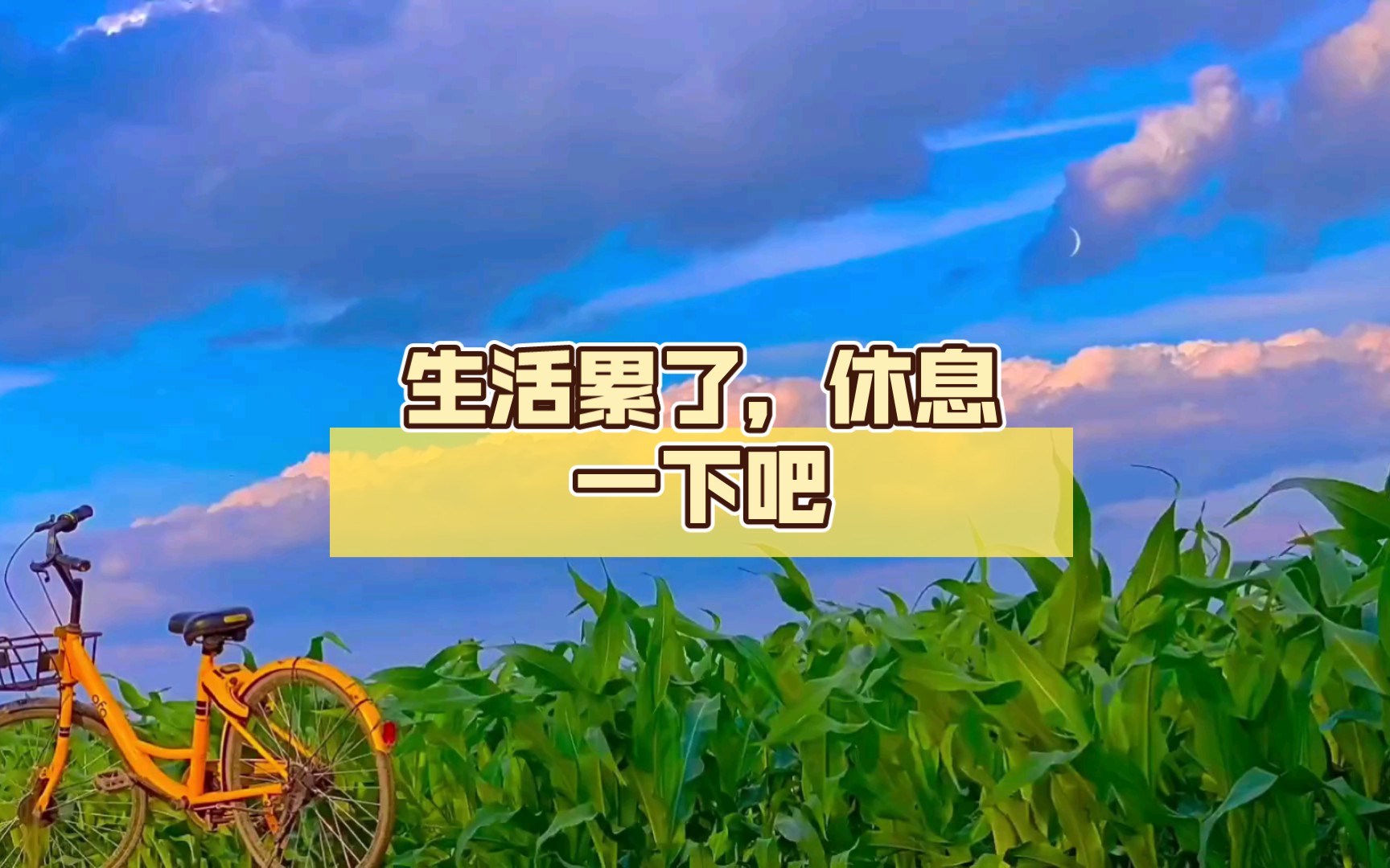 生活累了,休息一下吧(摸摸头)