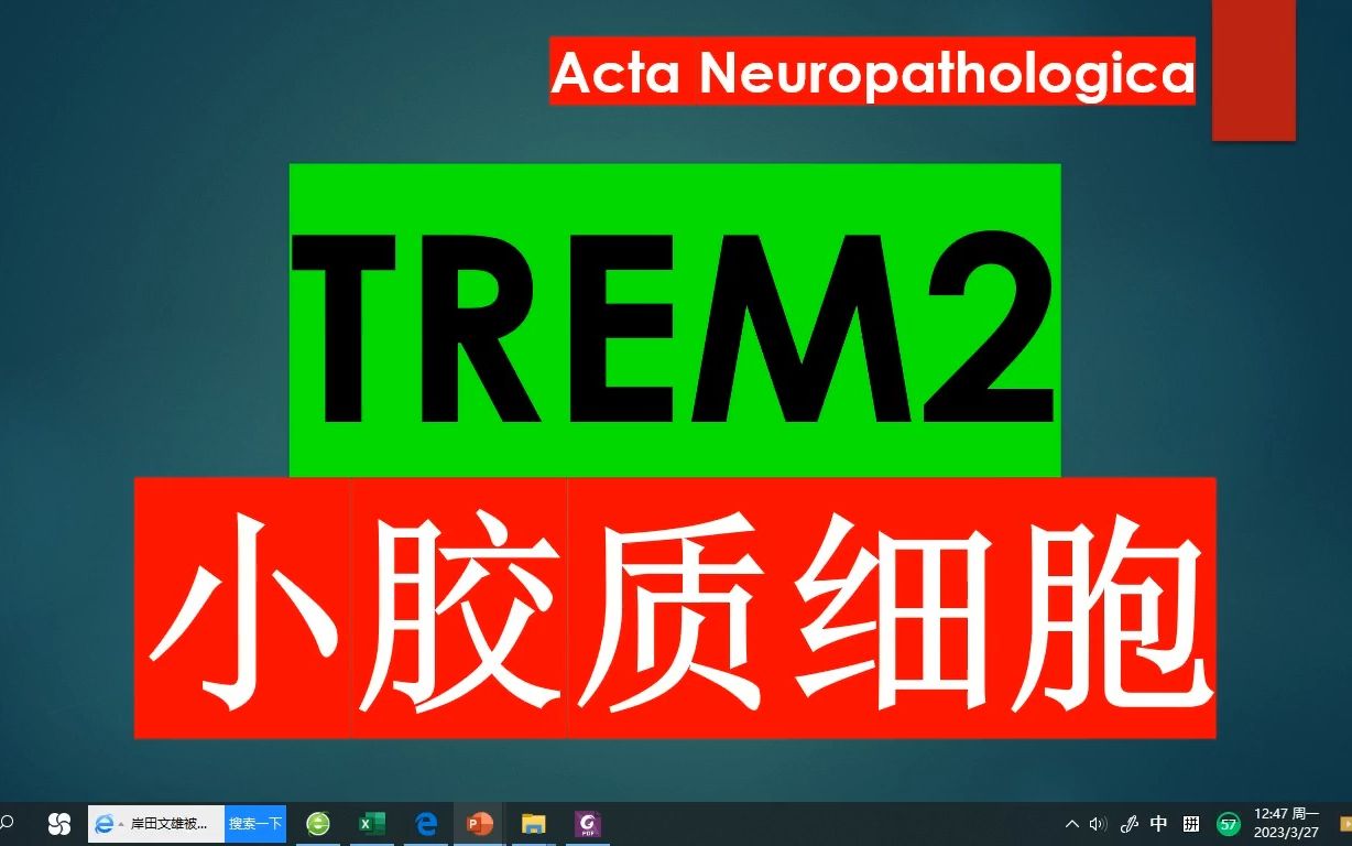 Acta Neuropathologica—TREM2对小胶质细胞激活的调控可能是脑区特异性的哔哩哔哩bilibili