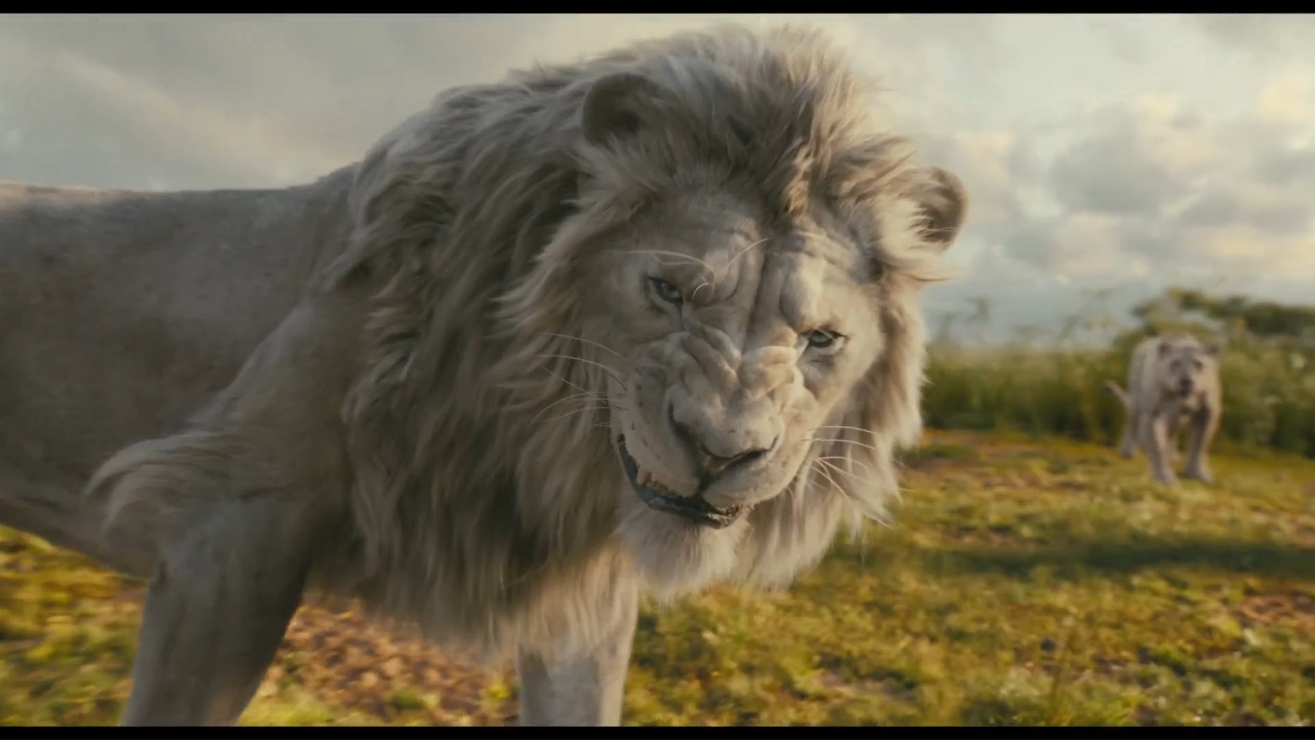 辛巴父亲前传!2024真人版《狮子王:木法沙传奇》最新预告片(中文字幕)