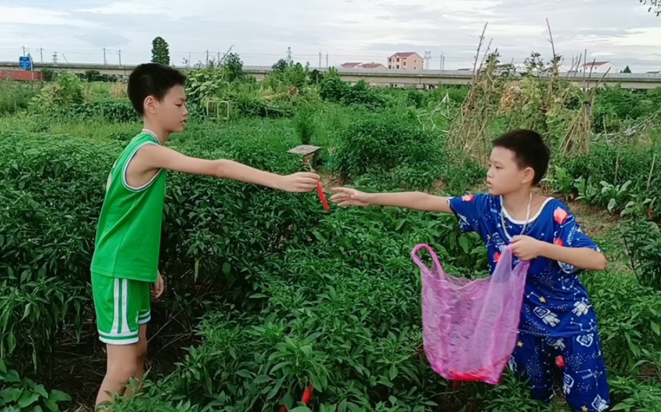 家里辣椒吃完了,熊梦梦带俩小学生去菜园摘,只是自己想偷懒哔哩哔哩bilibili