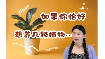 Download Video: 一篇讲清楚有关室内养植物的一切~纪念园艺生活999天！新手向