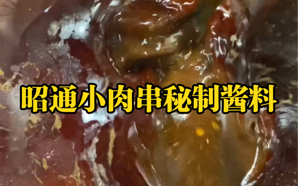 人生一串之昭通小肉串秘制酱料哔哩哔哩bilibili