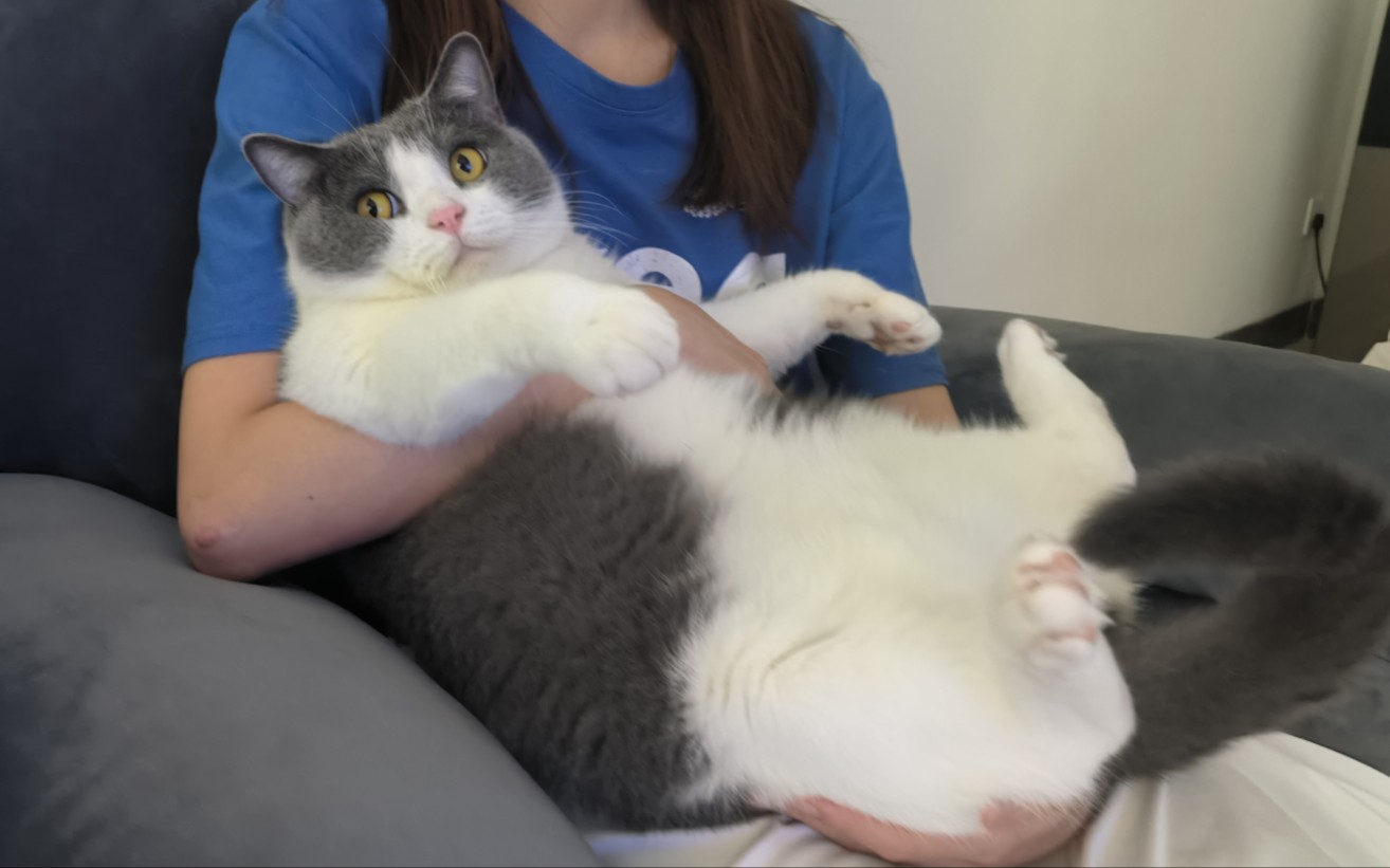 肥波:儿童不宜哦