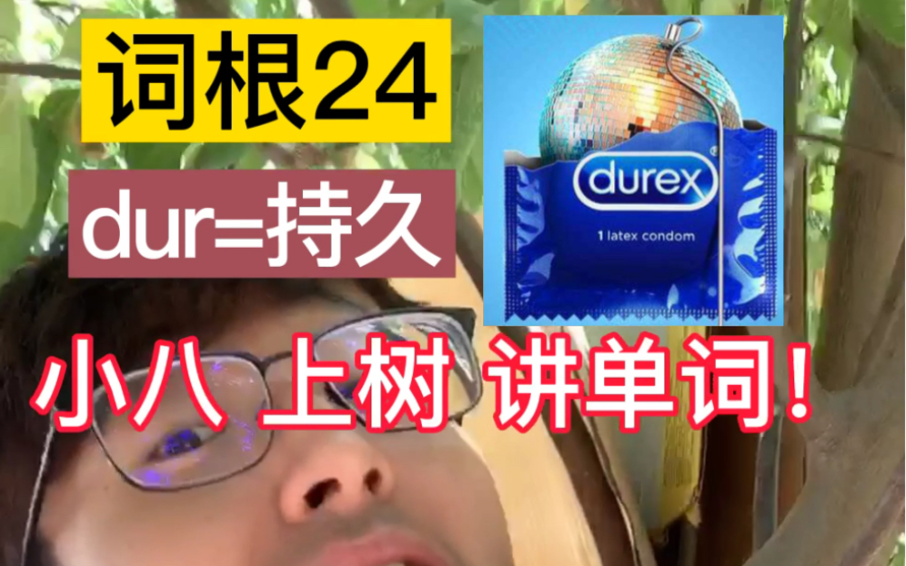 <词根24: dur=持久> 小八上树讲单词!哔哩哔哩bilibili