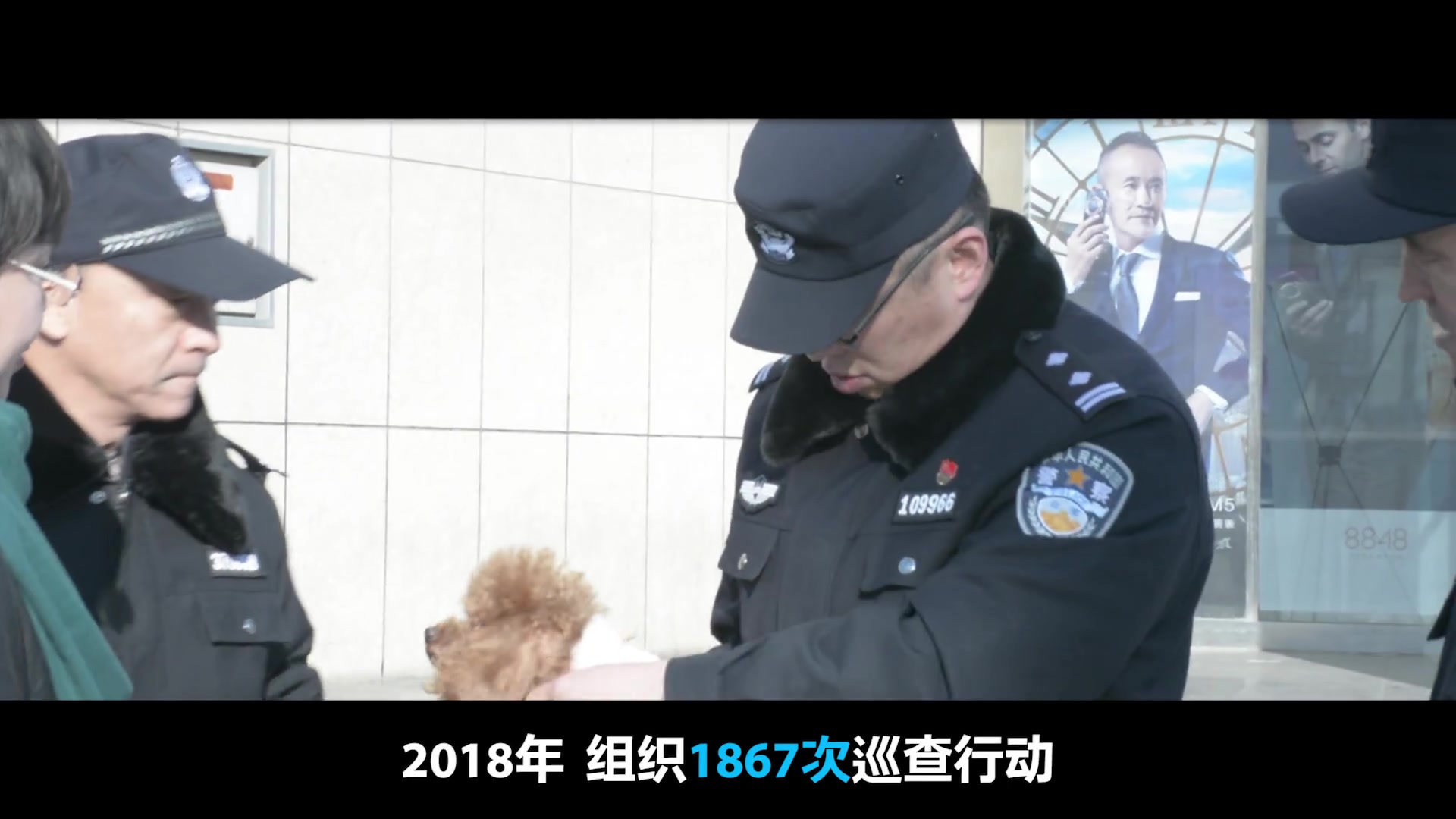 [图]依法文明养犬 共建美好家园