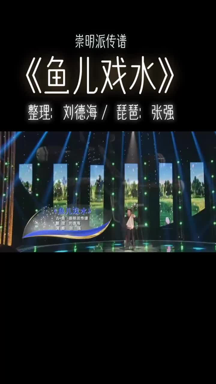 弹琵琶琵琶鱼儿戏水张强教授