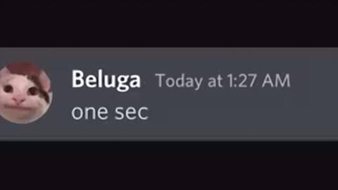 If Beluga owned Discord 