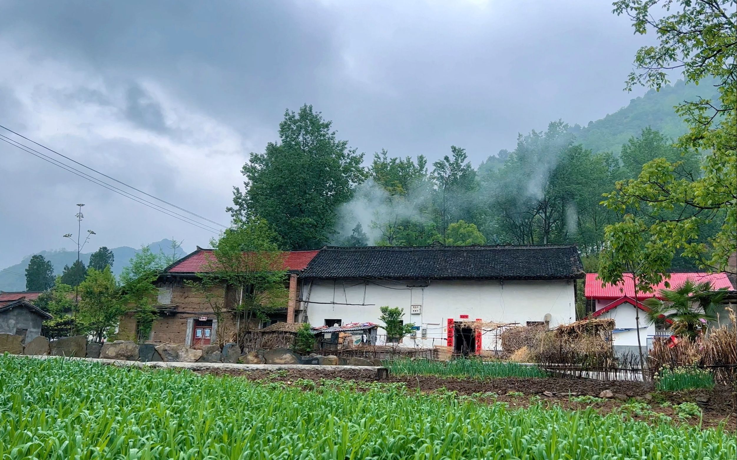 [图]“绿树含春雨，青山护晓烟。”