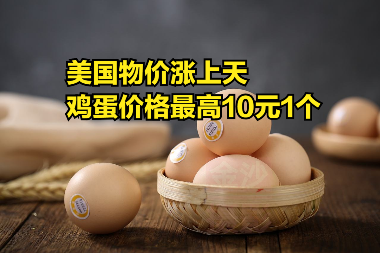 美国物价涨上天,鸡蛋价格最高10元1个,家庭年均收入损失5万多哔哩哔哩bilibili