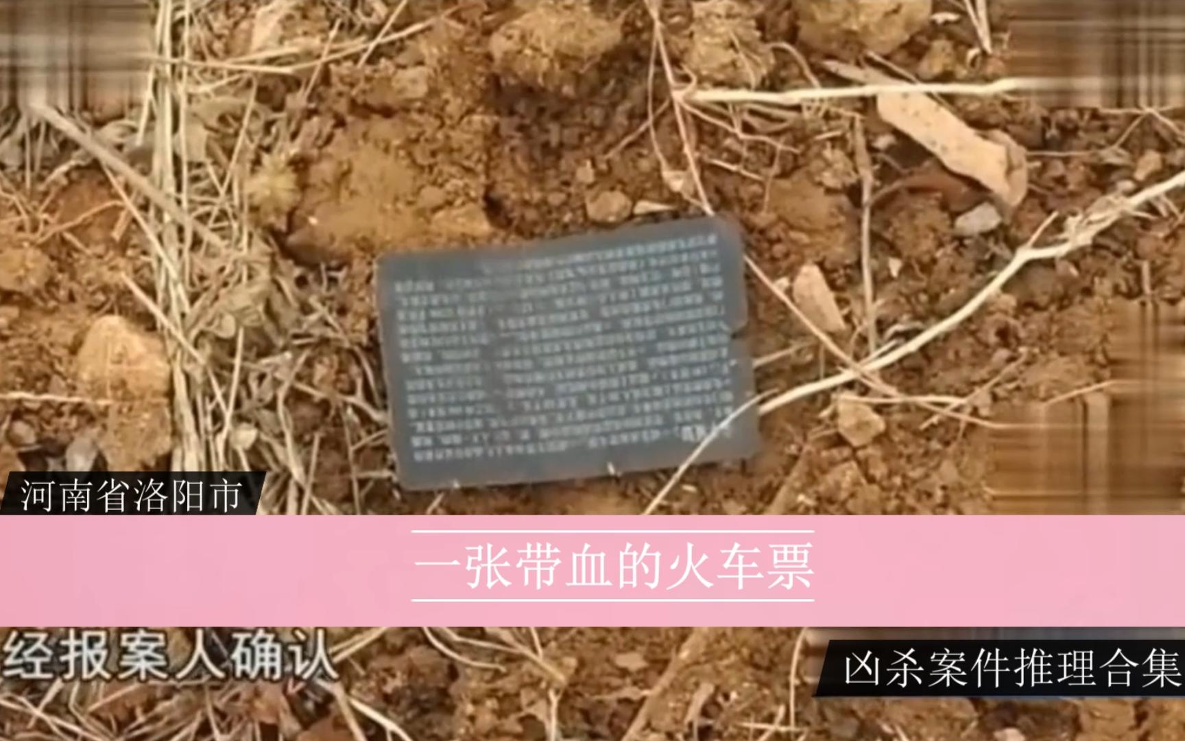 河南省洛阳市 《一张带血的火车票》-凶杀案件推理合集-凶杀案件推理合集-哔哩哔哩视频