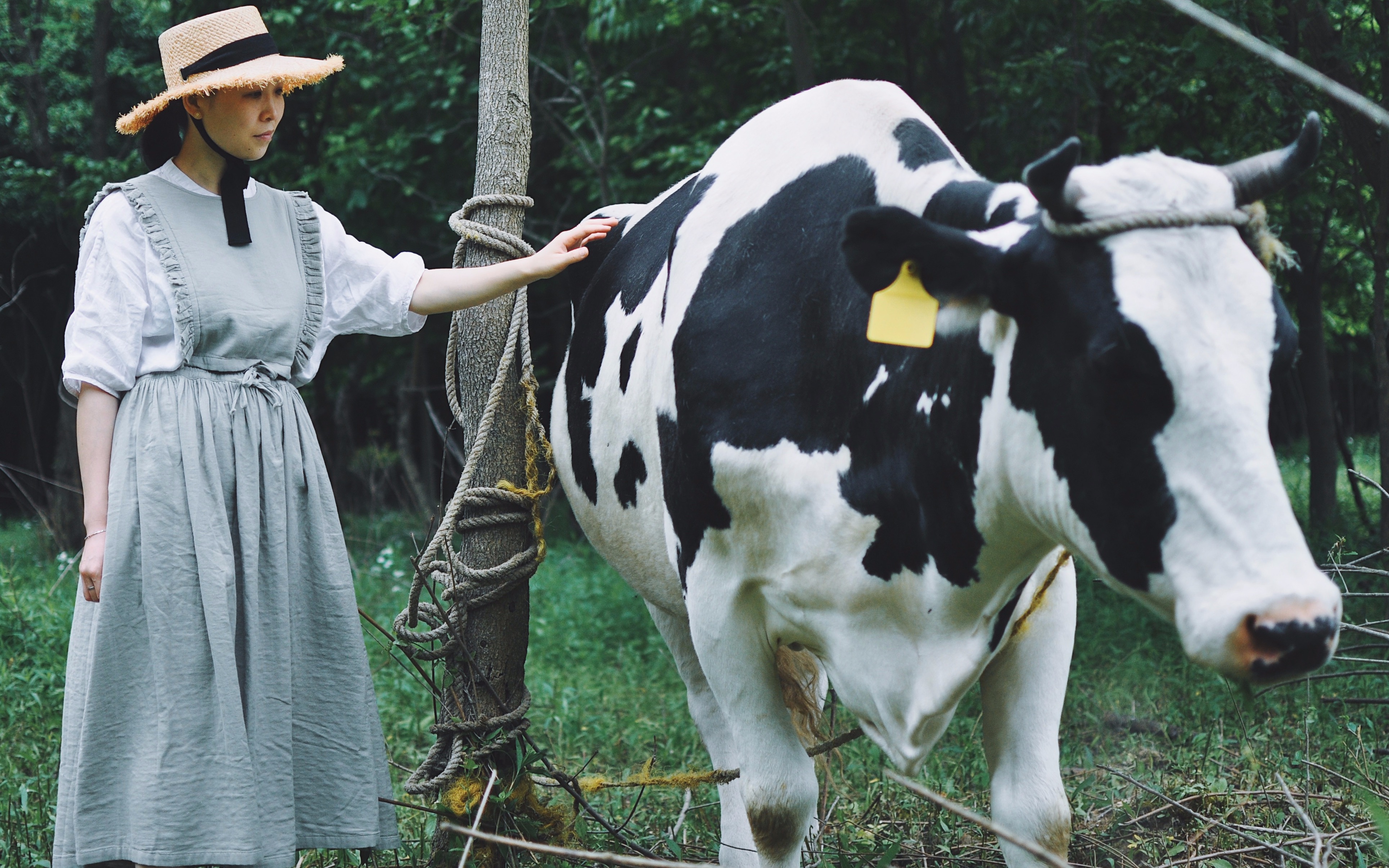 朝暮牧场 梅子酒 春日约会