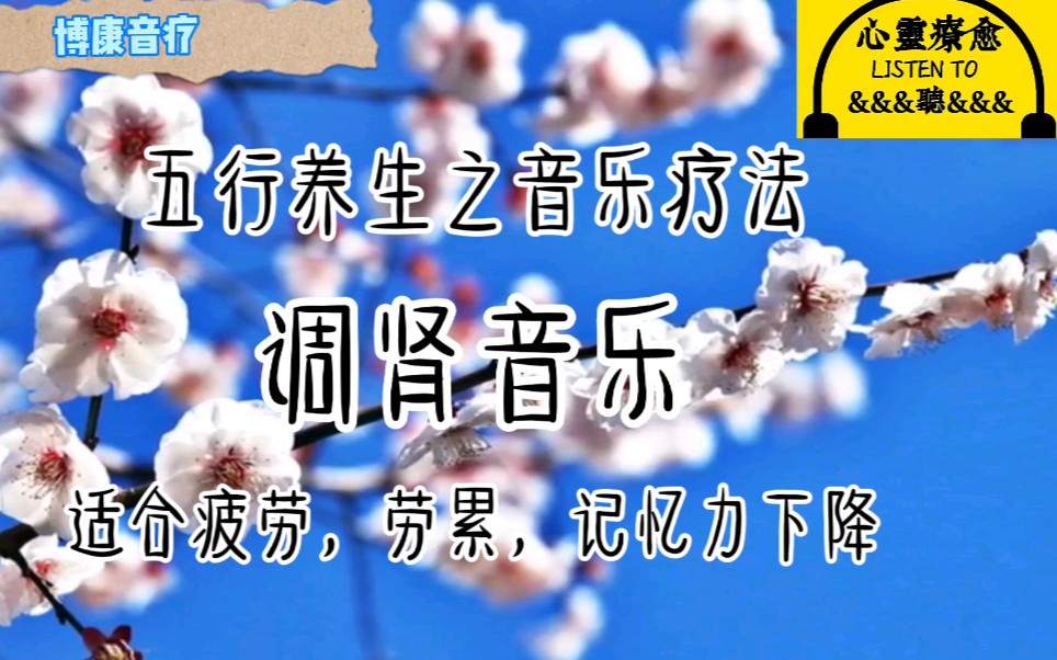 五行养生之音乐疗法:调肾音乐,适合疲劳、劳累、记忆力下降者哔哩哔哩bilibili