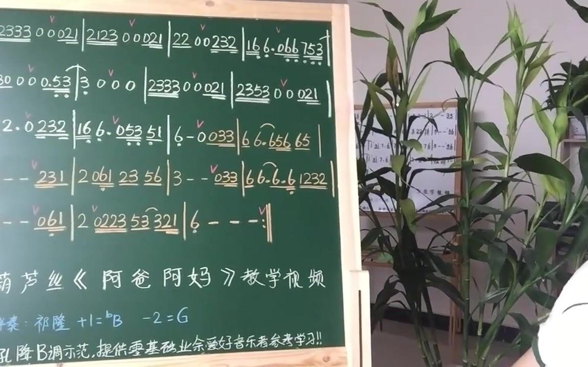 葫芦丝的价格葫芦丝曲目分解教学《阿爸阿妈》第一课,视唱简谱葫芦丝独奏曲大全哔哩哔哩bilibili