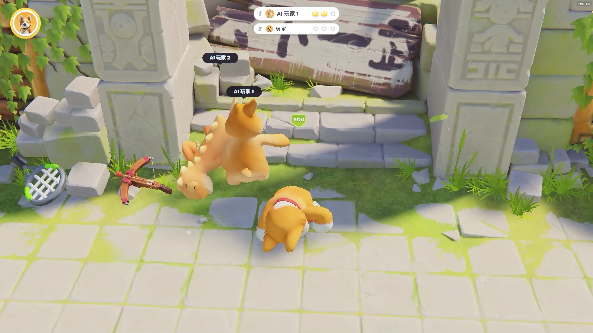 动物派对,柯基争霸赛