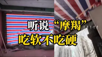 Download Video: 能撕碎一整片玻璃外墙的摩羯遇到网友“土法双层保护罩”简直没脾气