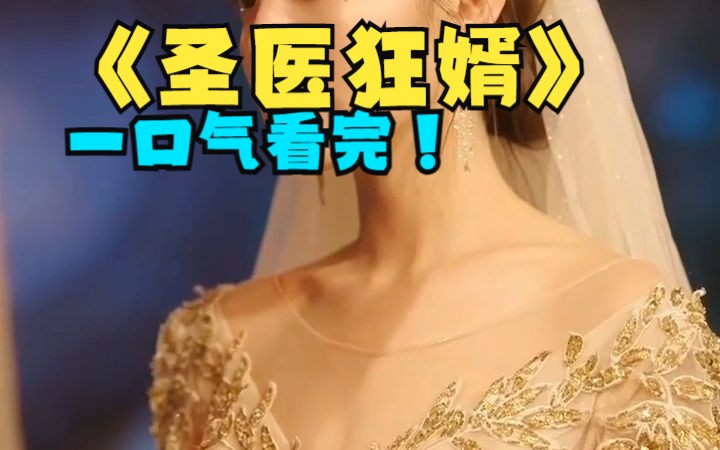 [图]【圣衣狂婿】 一口气看完！