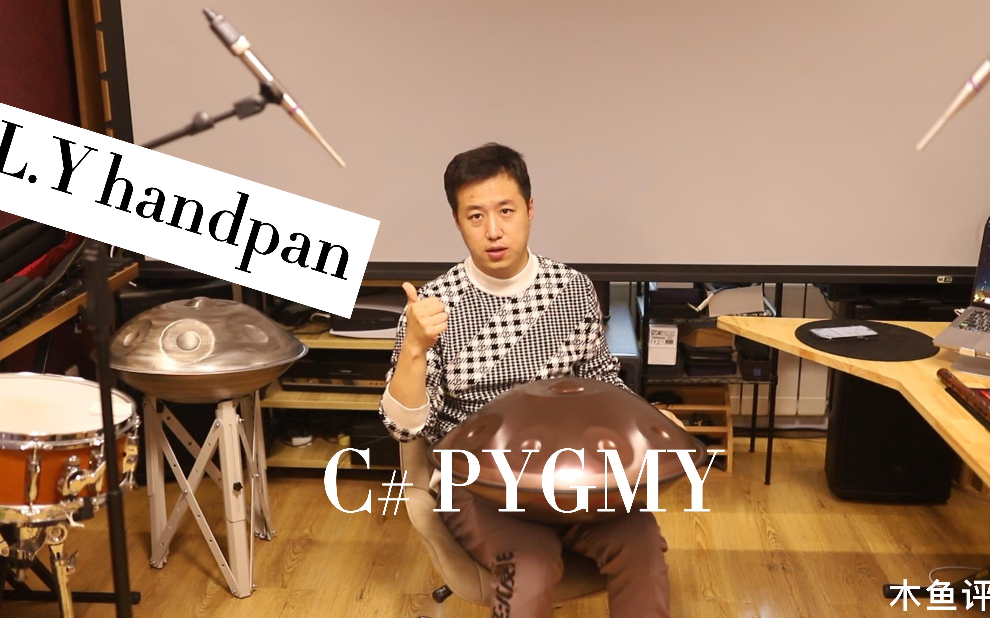 手碟评测|LY HANDPAN|国内定制|C# pygmy哔哩哔哩bilibili