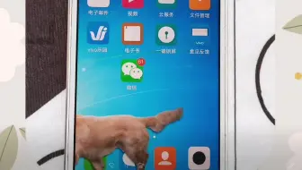 今天发现女友的手机里养了一只大狗狗！我看了，都说可爱