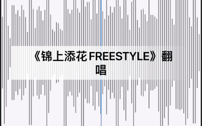 [图]《锦上添花FREESTYLE》翻唱！！HIP HOP GDP 都往上提！