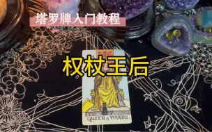 Download Video: 【塔罗牌】塔罗牌入门教程“权杖王后”的牌意解读