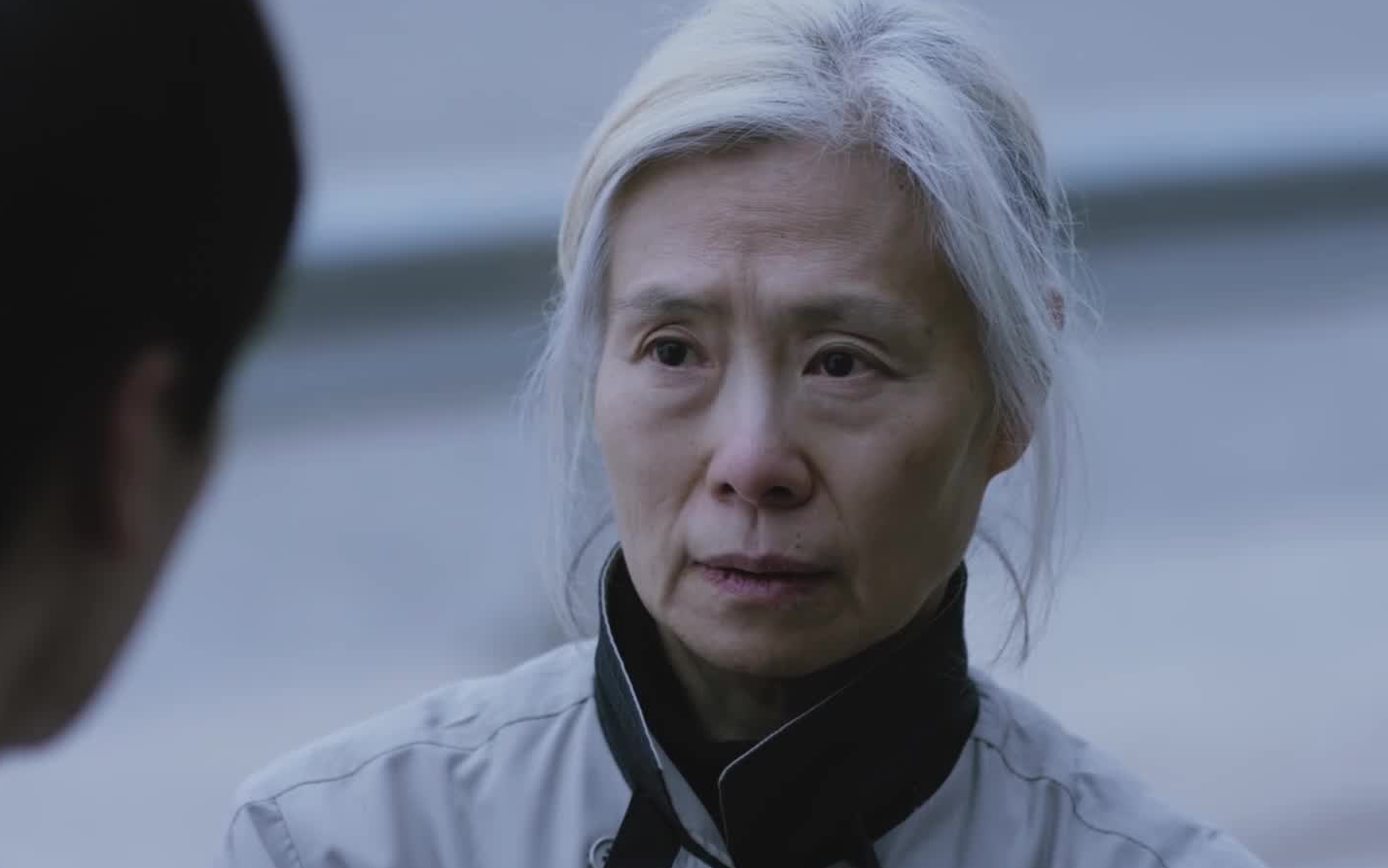 【韩影】釜山电影节观众奖影片《老妇人》,国民奶奶艺秀晶遭遇侵犯后