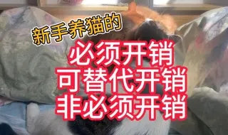 下载视频: 养猫真不贵！新手养猫能省vs不能省