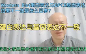 Tải video: Western Blot蛋白表达与QPCR基因表达结果不一致是怎么回事？