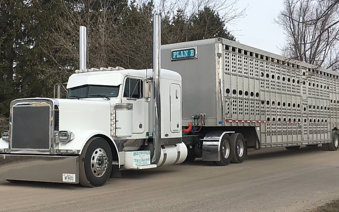 【北美卡車】【west michigan truck spotting】在 d 大道發現卡車