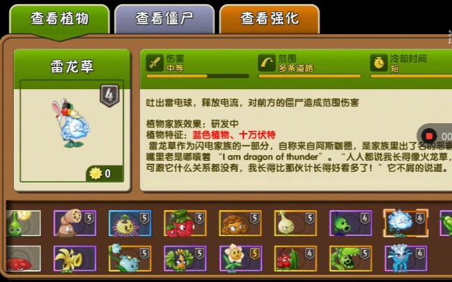 四阶雷龙草展示