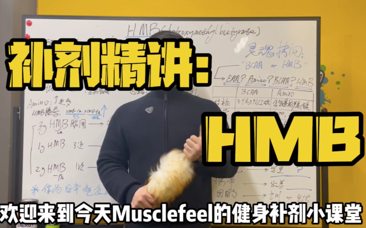 超详细补剂精讲:hum! 是鸡肋?还是精华?bcaa or hmb?哔哩哔哩bilibili