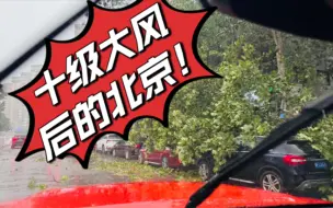 Download Video: 短暂十级大风之后的北京！到处都是连根拔起的大树！大自然的恐怖力量…