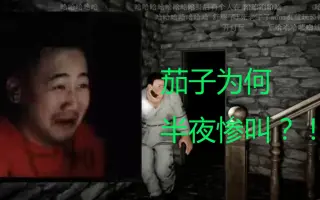 【茄子】茄子为何半夜惨叫连连？！茄子直播玩恐怖游戏！