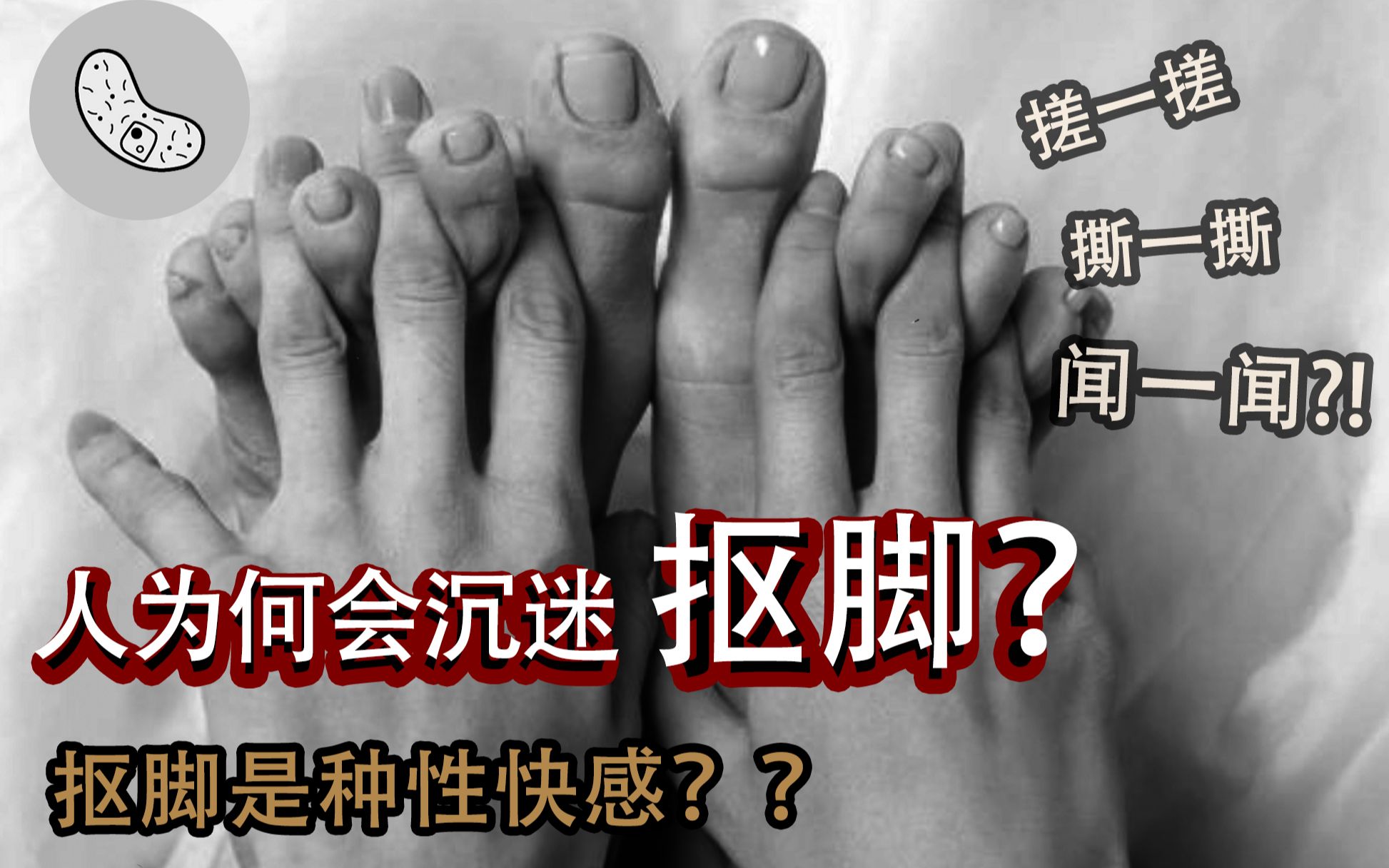 [图]【抠脚情怀】人为什么会沉迷抠脚？抠脚是种性快感?!【灰细胞】