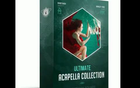 终极人声干声编曲素材 采样包 Ultimate Acapella Collection WAV哔哩哔哩bilibili