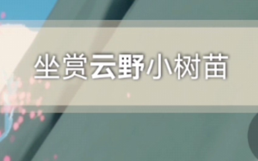 【好怪哦】光遇国际服每日任务01:坐赏云野小树苗网络游戏热门视频