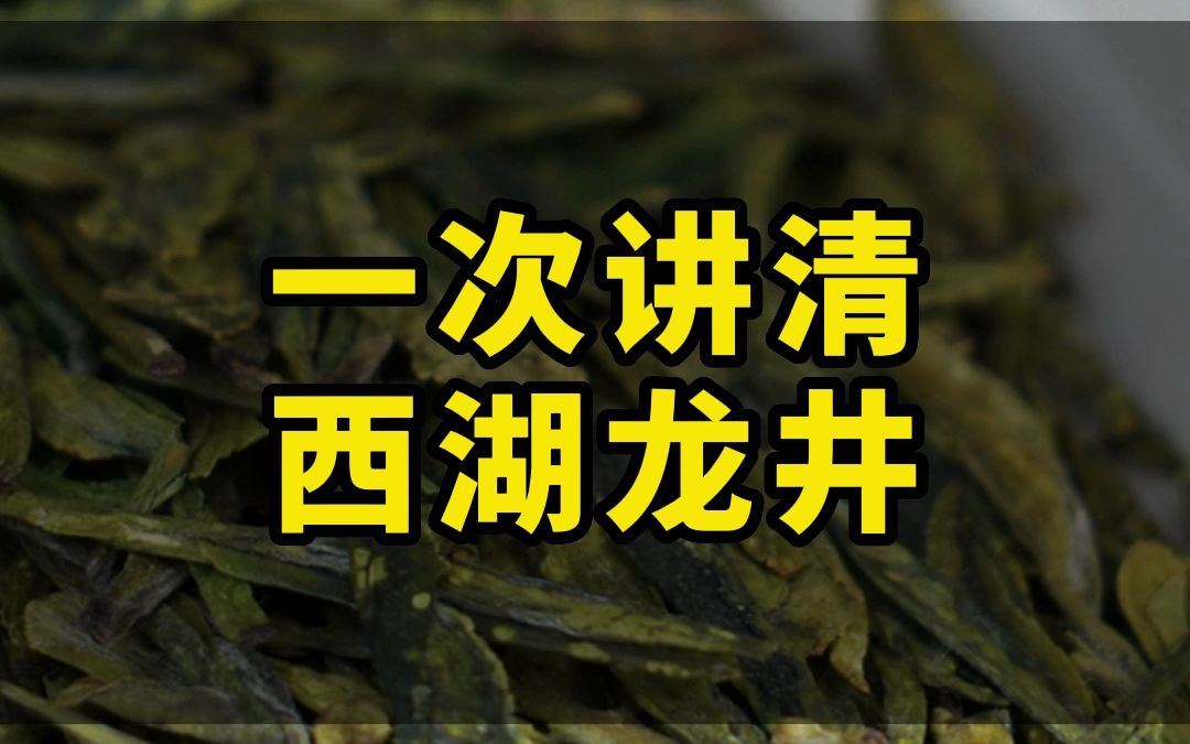 一次讲清西湖龙井,记得看完哔哩哔哩bilibili