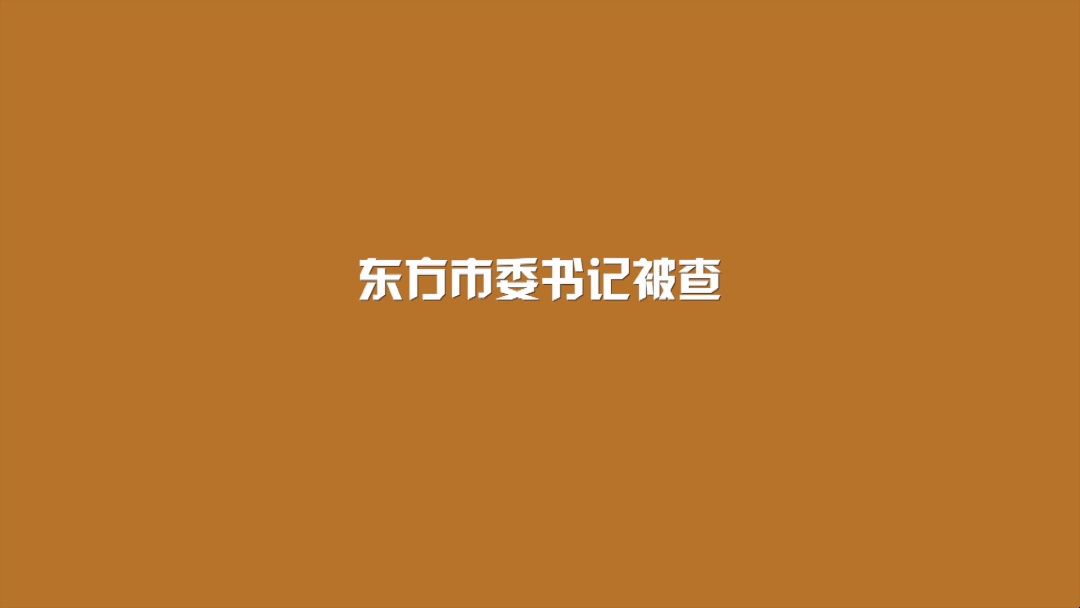 东方市委书记被查哔哩哔哩bilibili