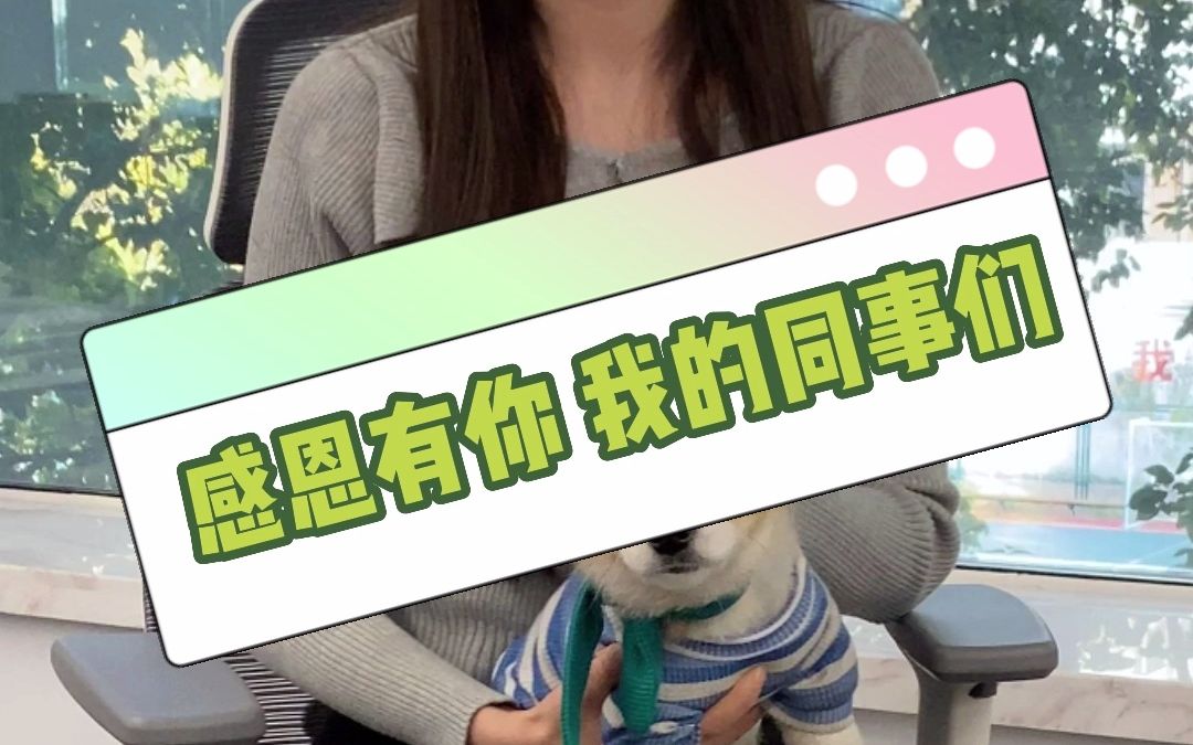 感恩有你,我的同事们哔哩哔哩bilibili