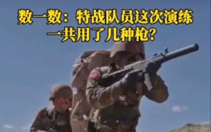 Video herunterladen: 数一数：他们用了几种枪？