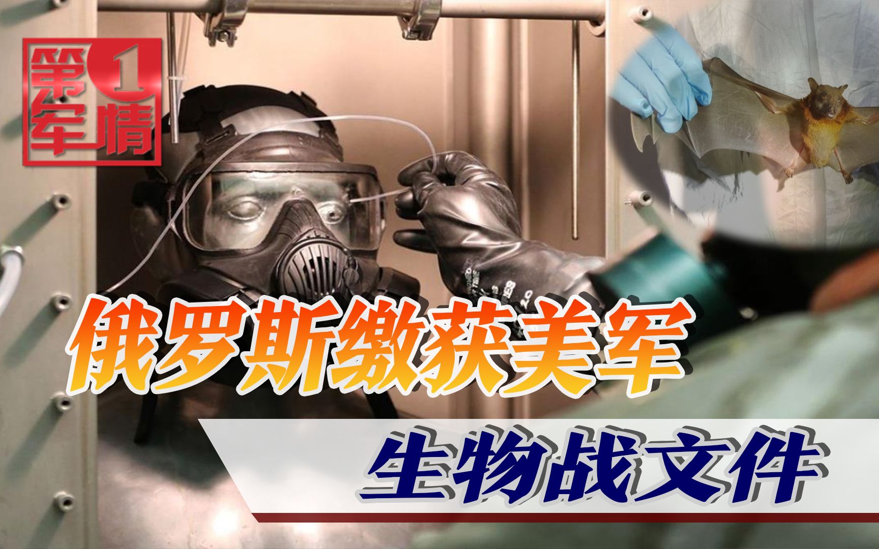 在乌克兰研究生物战:用候鸟迁徙传播病毒_哔哩哔哩_bilibili