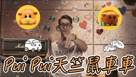 Pui Pui 天竺鼠车车 英文为何是pui Pui Molcar 哔哩哔哩 つロ干杯 Bilibili