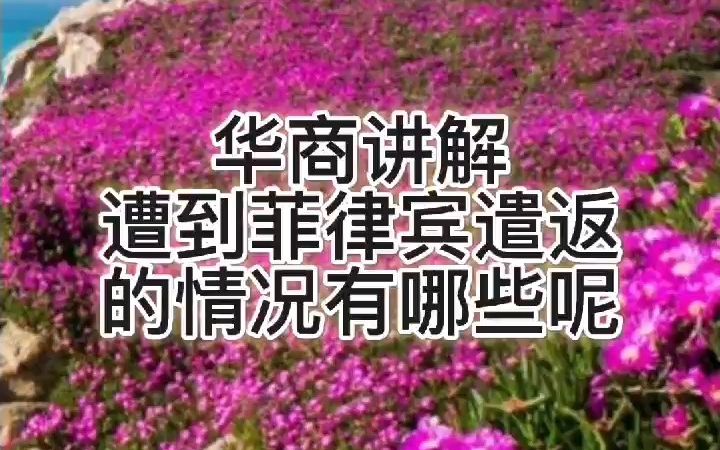 遭到菲律宾遣返的情况有哪些呢哔哩哔哩bilibili